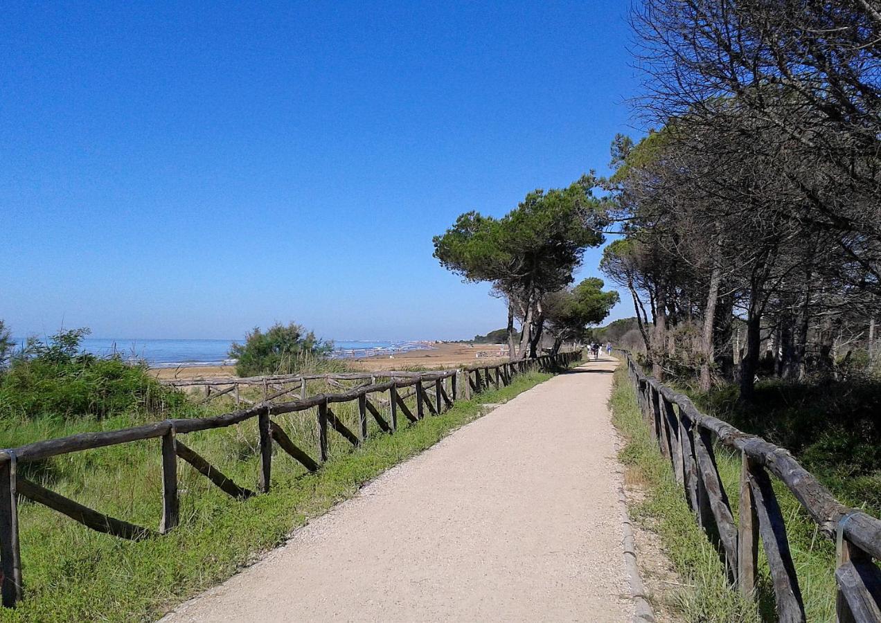 Апартаменти Torcello Бібіоне Екстер'єр фото